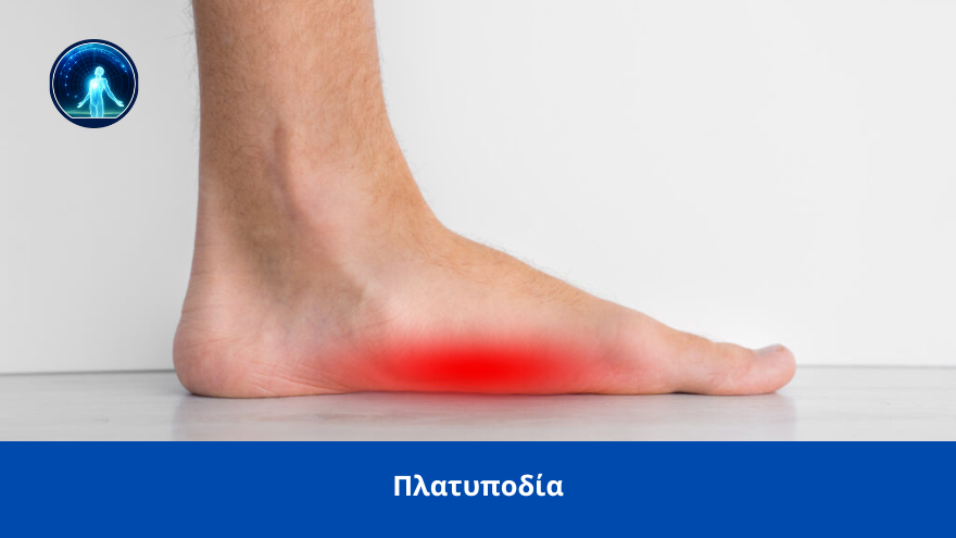 platypodia spineworks